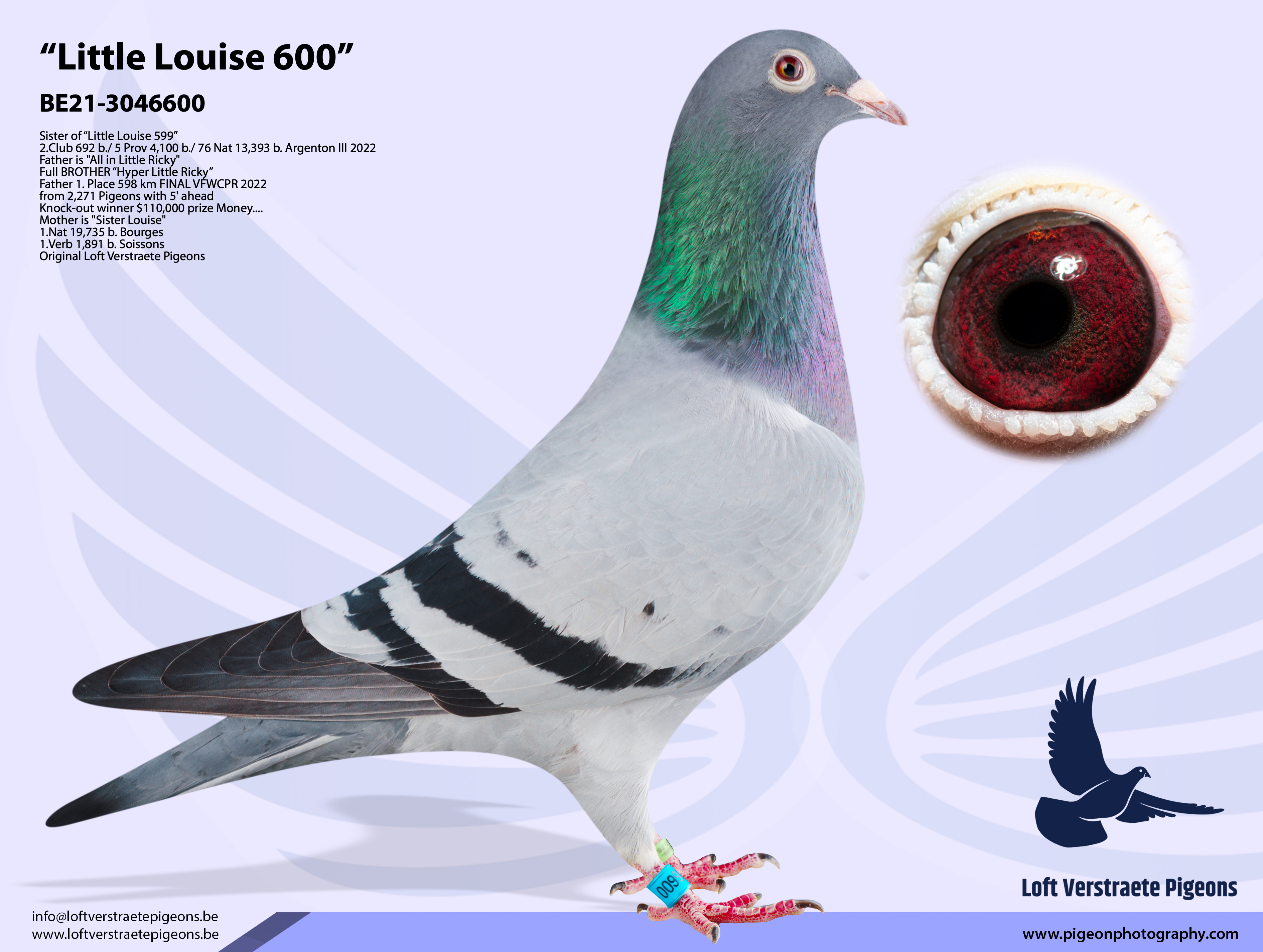 Little Louise 600