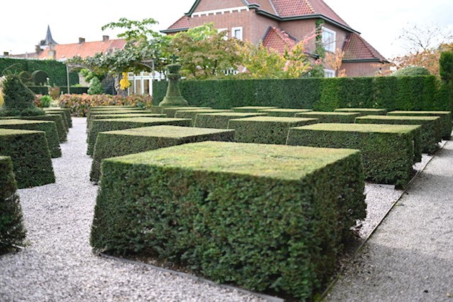 WV3. Topiary